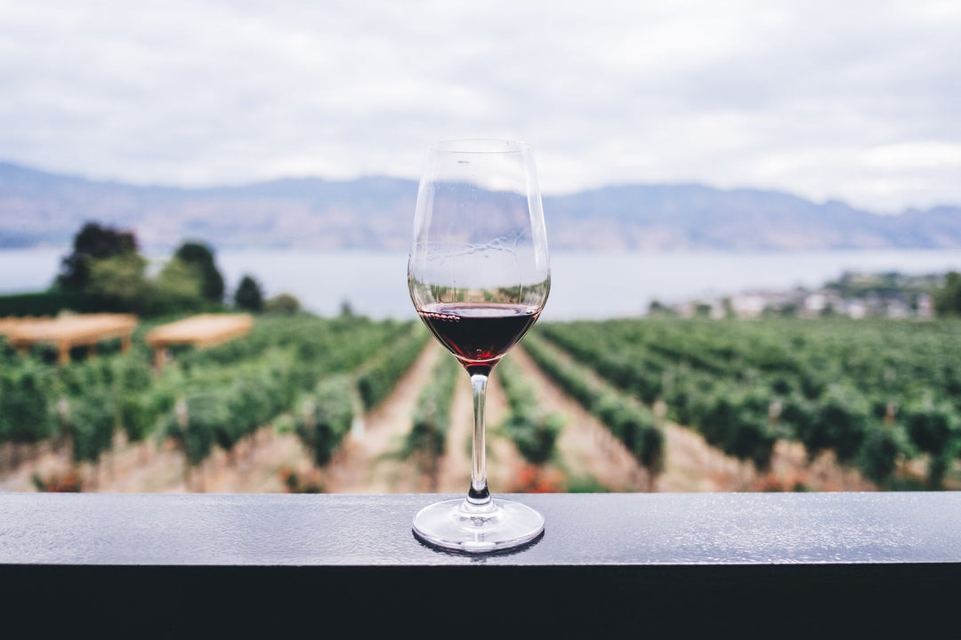 5 Things I Wish I Knew About Wine When I Started - Secret Bottle