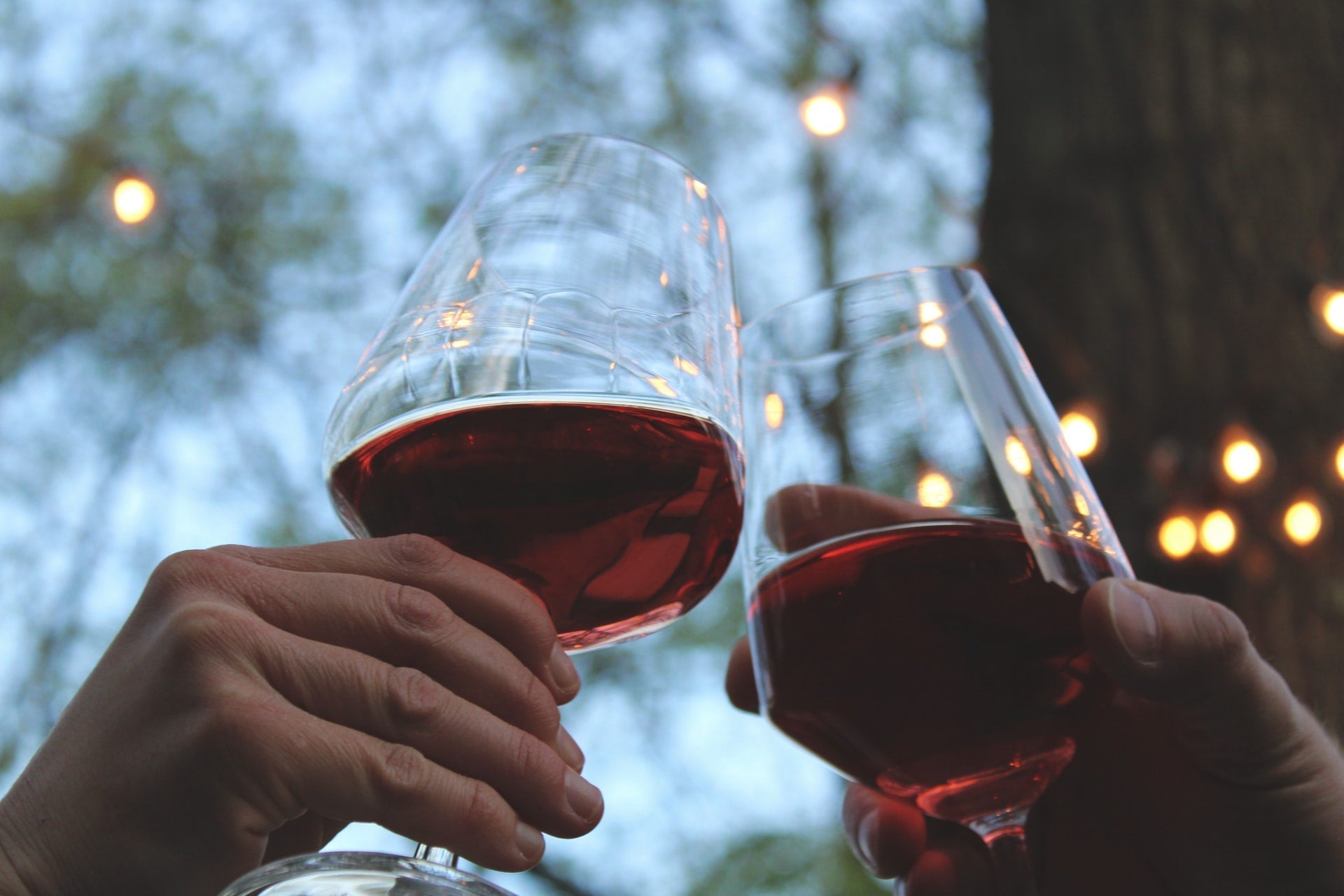 Beyond Shiraz: Red Wine for Beginners - Secret Bottle