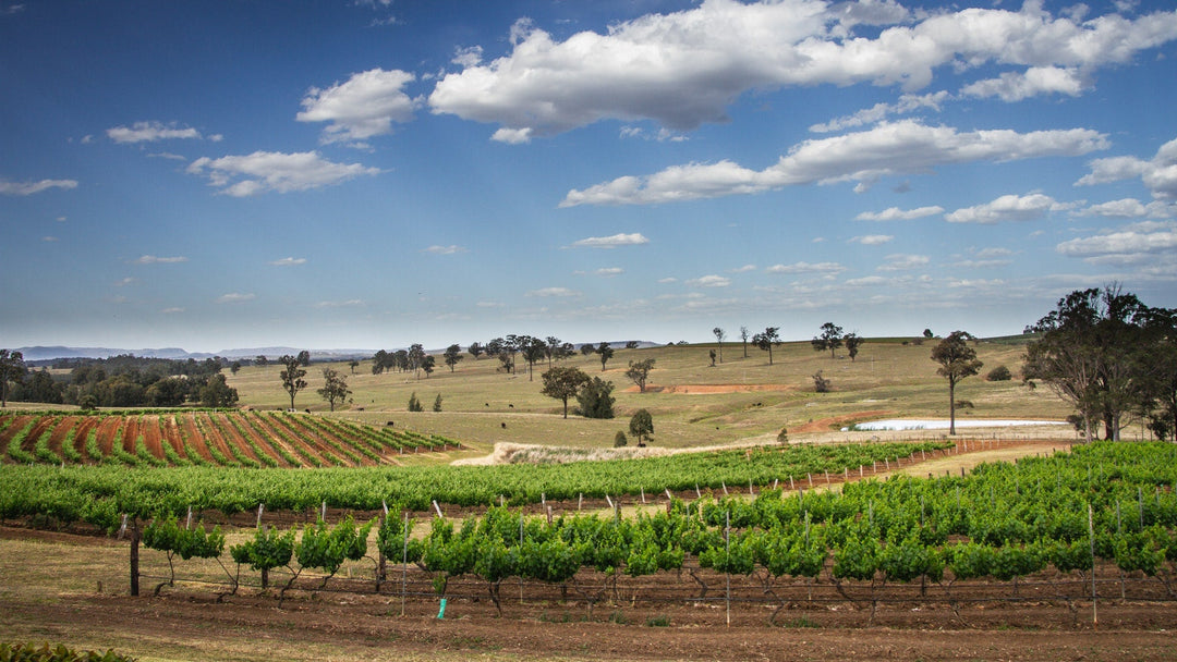 Our top 3 Hunter Valley wineries for your Spring bucket list - Secret Bottle